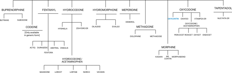 Prescription Opioid Overview